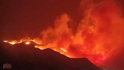 حريق هائل يلتهم الغابات بالجزائر.. والنيران تقترب من المناطق المأهولة