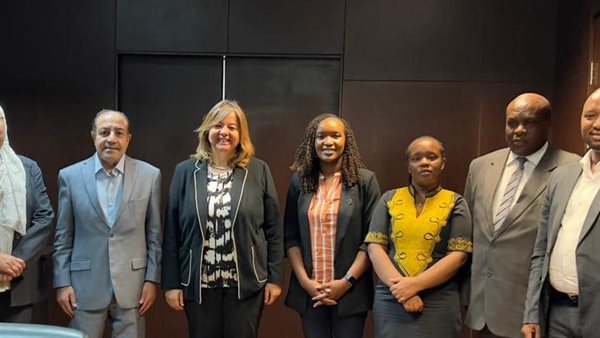 الرئيس التنفيذي لصندوق