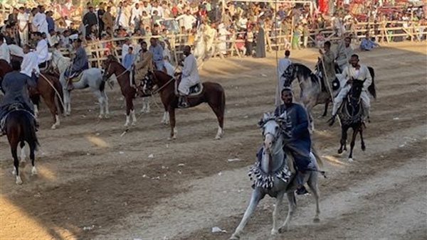 أكبر تجمع لفرسان