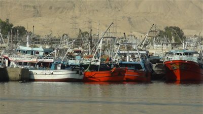 انطلاق موسم صيد الأسماك بخليج السويس والبحر الأحمر