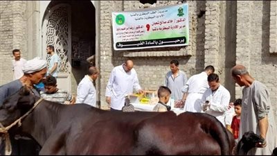تقديم الخدمات البيطرية لـ 1492 رأس ماشية خلال قافلة مجانية بالمنيا