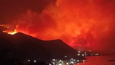 اندلاع حرائق في غابات ولايتين بالجزائر.. والحماية المدنية تواصل عمليات إخمادها 