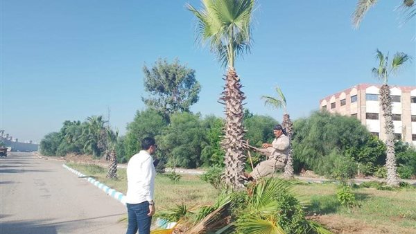 حملات النظافة بجمصة