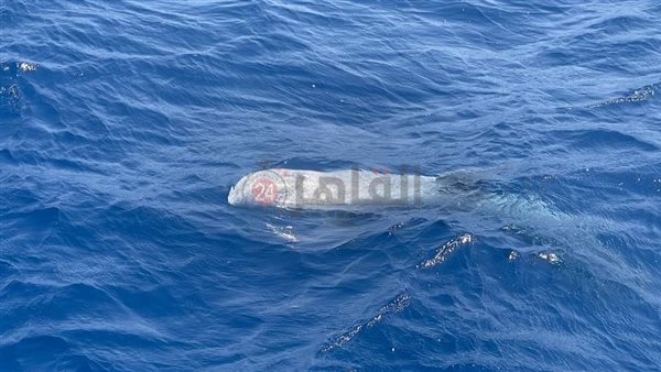 الريسو أحد أنواع