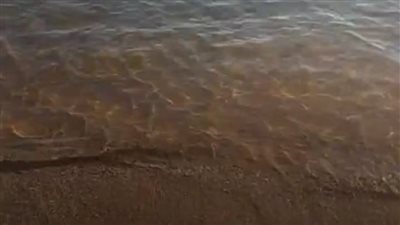 بعد توقف 4 أيام.. إعادة فتح شواطئ مدينة دهب باستثناء موقع هجوم قرش اللاجونا | بث مباشر