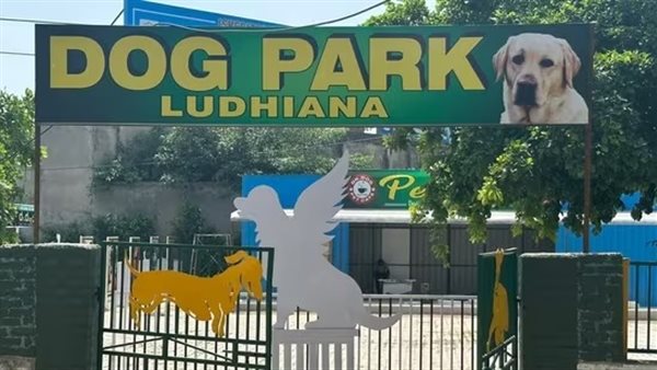 حديقة مخصصة للكلاب