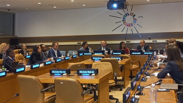  الدكتور محمود محيي