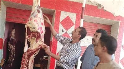 تموين المنيا: ضبط ربع طن لحوم فاسدة وطن دقيق مدعم في 3 مراكز بالمحافظة