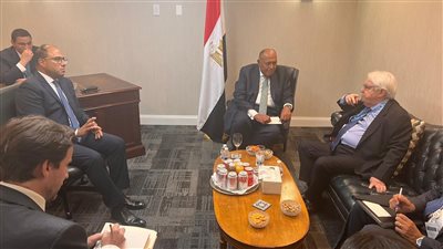 شكري: مصر تؤكد أهمية حشد الدعم الدولي لتوفير احتياجات الأشقاء السودانيين