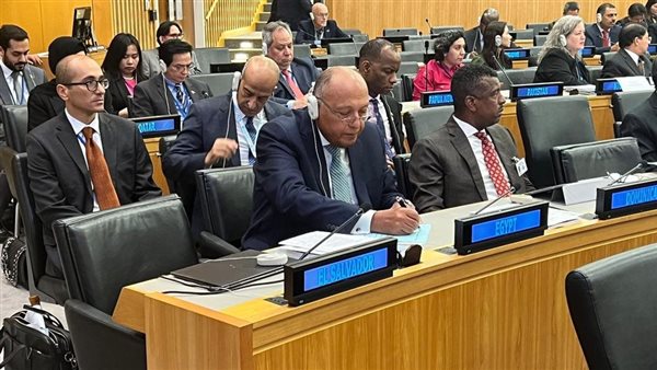 وزير الخارجية سامح