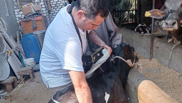 الكشف على عجلة البحيرة