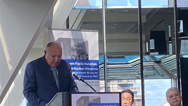 شارك سامح شكري وزير