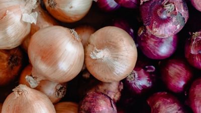 أسعار البصل اليوم الاثنين في الأسواق