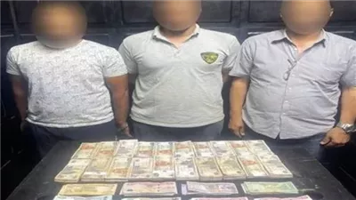 حبس المتهمين بالاستيلاء على مبلغ مالي خاص بأحد البنوك في القاهرة