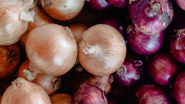 أسعار البصل