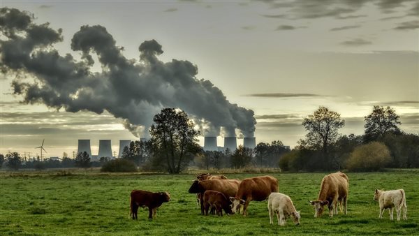 صورة تعبيرية