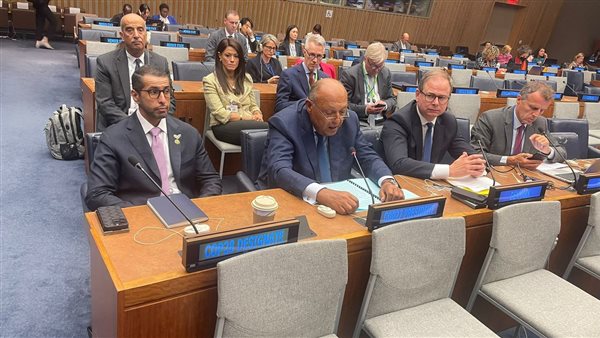 وزير الخارجية يلقي