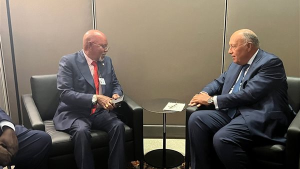 وزير الخارجية يلتقي