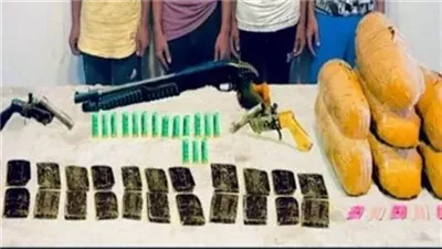 حبس 6 متهمين بالاتجار في المواد المخدرة والأسلحة النارية بدمياط