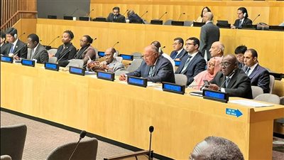 شكري يشارك في اجتماع وزراء خارجية دول منظمة التعاون الإسلامي