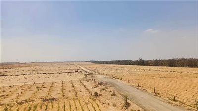 الإسكان تستهدف 75 مليون جنيه إيرادات من بيع قطعة أرض تجارية بمدينة سفنكس الجديدة