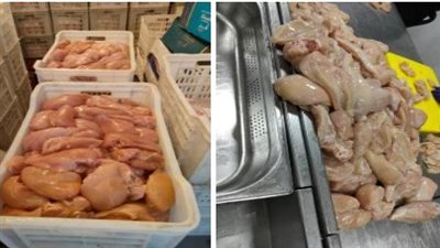 ضبط 1.4 طن لحوم ودواجن مجهولة المصدر في ثلاجة مواد غذائية بالبساتين