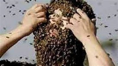 أصيب بـ 20 لسعة.. سرب نحل يقتل رجلا في كنتاكي 