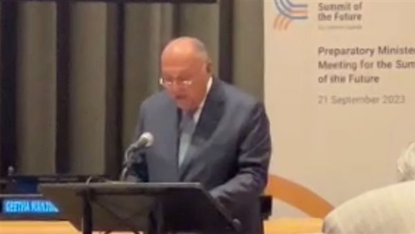 سامح شكري وزير الخارجية