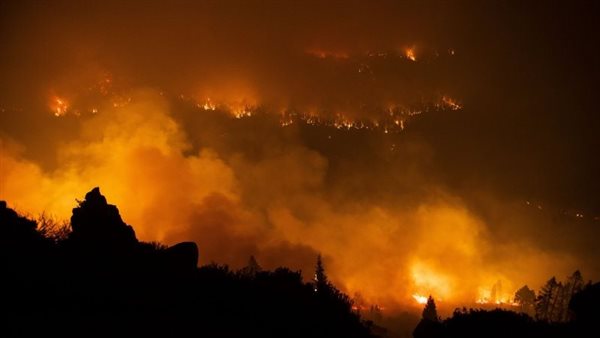 صورة تعبيرية 