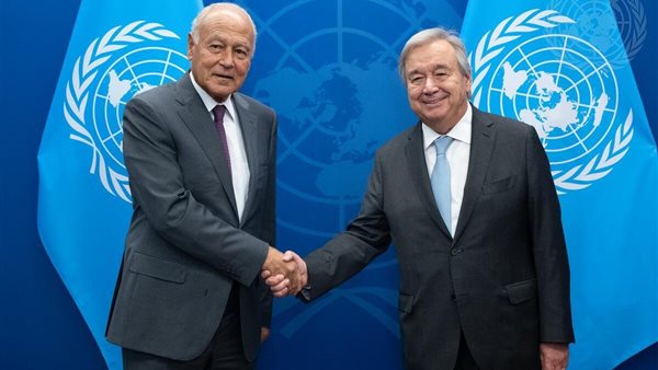 أبو الغيط يلتقي السكرتير