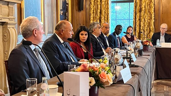 لقاء وزير الخارجية