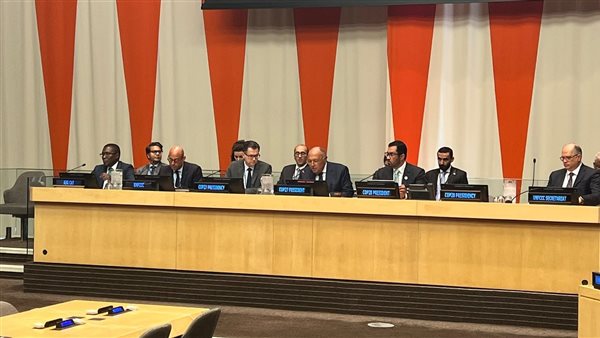 وزير الخارجية 