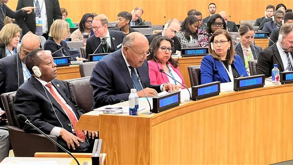 وزير الخارجية 