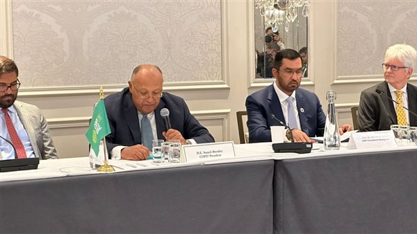 وزير الخارجية