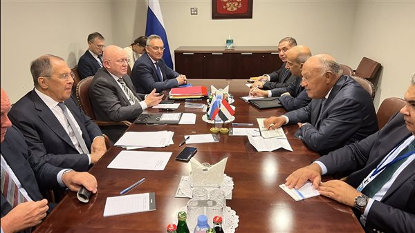 شكري يلتقي وزير الخارجية