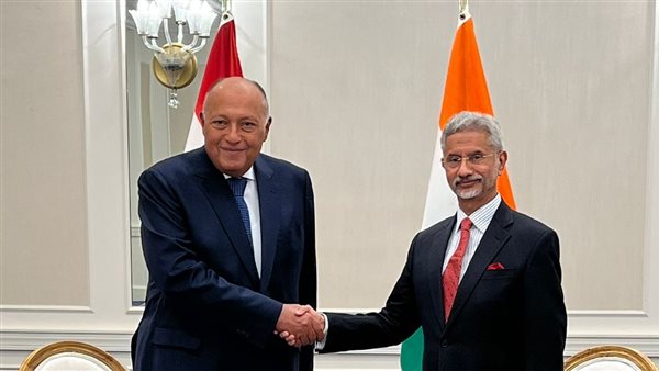 وزير الخارجية يلتقي