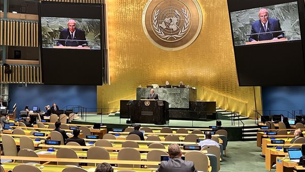 شكري أمام الأمم المتحدة