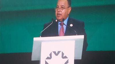 وزير المالية: لابد من تكاتف جميع الدول لتجاوز التحديات العالمية.. وتحقيق المزيد من العدالة الاقتصادية