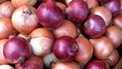 موعد بدء تطبيق قرار حظر تصدير البصل المحلي لمدة 3 أشهر.. هل تتراجع الأسعار؟