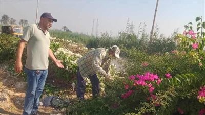زراعة أشجار مثمرة وأخرى للزينة بمركزين بالمنيا ضمن مبادرة 100 مليون شجرة