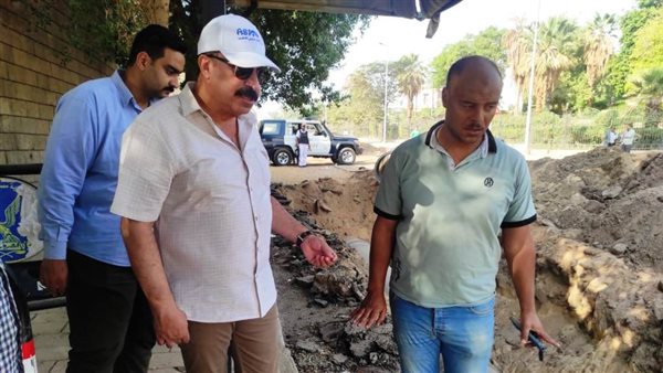 محافظ أسوان