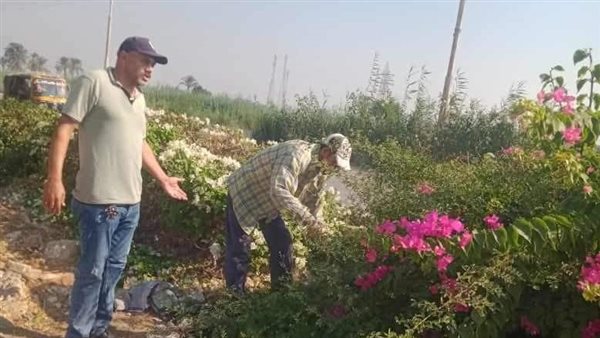 حملات تفتيشية بالمنيا