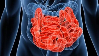 علماء يبتكرون كبسولة مضيئة لدراسة أعصاب الدماغ الثاني في الأمعاء