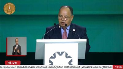 وزير المالية: حان الوقت لتعظيم جهود الاستثمارات الخاصة في تعزيز النمو الاقتصادي
