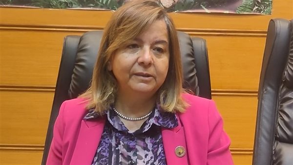 الرئيس التنفيذي لصندوق