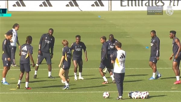 فينيسيوس جونيور في