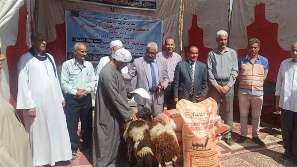 تضامن المنيا