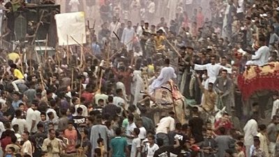 بالجمال والخيول..الآلاف من أبناء الأقصر يحتفلون بالمولد النبوي الشريف | صور