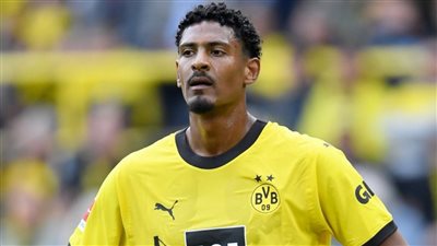 ضياع لقب الدوري أصعب من السرطان.. تصريح مثير من هالر نجم دورتموند