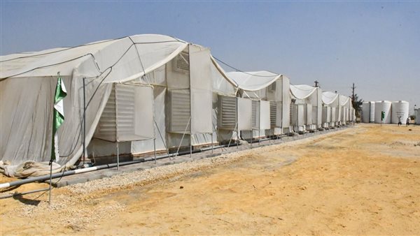 أول صوبة زراعية تعمل